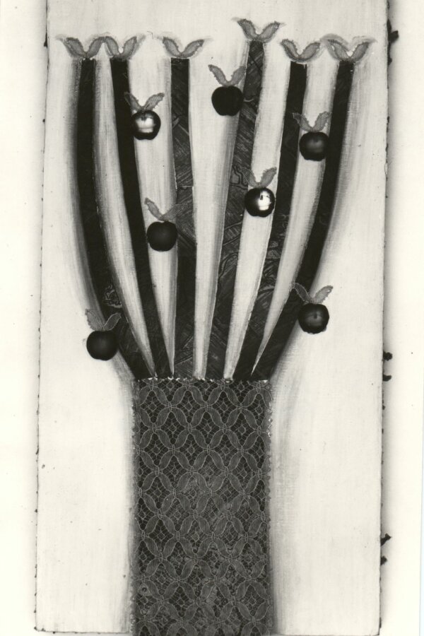 Autor fotografie: Jaroslav Franta